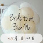 F02奶油色系